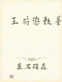 王府惩教养日常