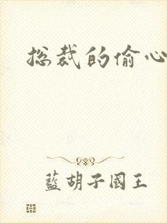 总裁的偷心娇妻