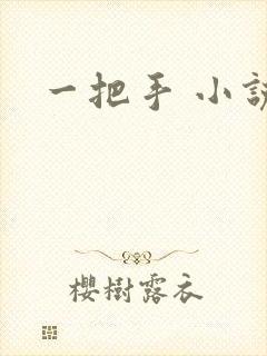 一把手 小说