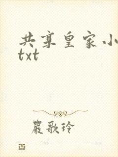 共享皇家小公主txt