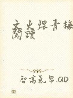 文火煨青梅免费阅读