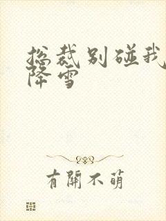 总裁别碰我 韩降雪