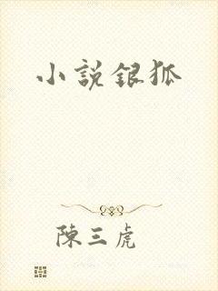 小说银狐