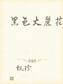 黑色大丽花图片