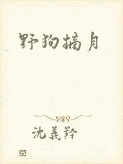 野狗摘月