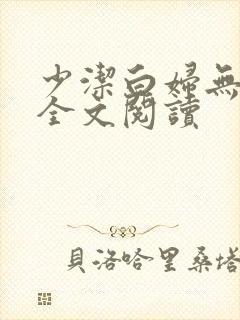 少洁白妇无删减全文阅读