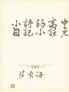 小诗的高中成长日记小说免费阅读