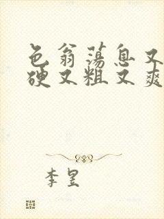 色翁荡息又大又硬又粗又爽