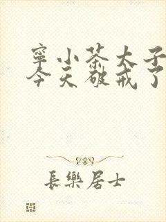 宁小茶太子殿下今天破戒了吗免费阅读