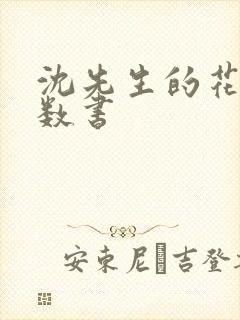 沈先生的花式调数书