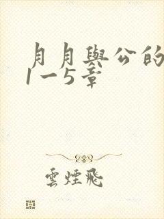 月月与公的激情1一5章