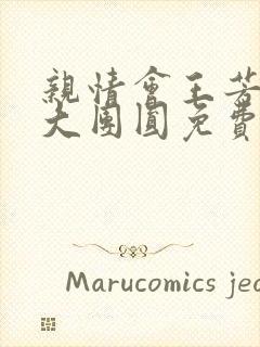 亲情会王芳高敏大团圆免费阅读