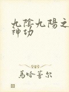 九阴九阳之阴阳神功