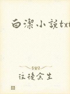 白洁小说txt