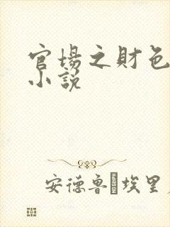 官场之财色诱人小说