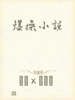 爆操小说