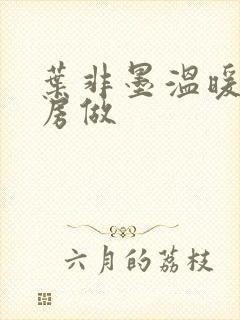 叶非墨温暖在厨房做