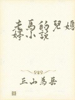 老马的儿媳顾婉婷小说