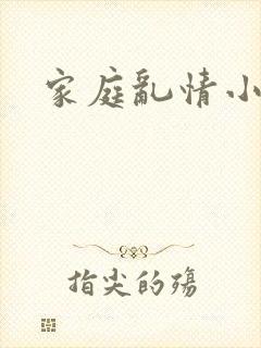 家庭乱情小说