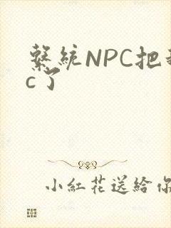 系统NPC把我c了