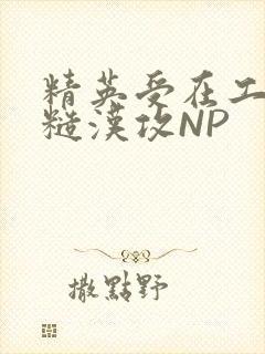 精英受在工地被糙汉攻NP