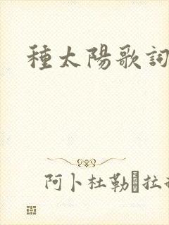 种太阳歌词
