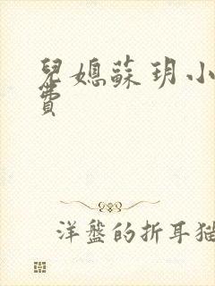 儿媳苏玥小说免费