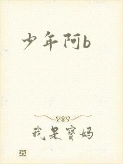 少年阿b