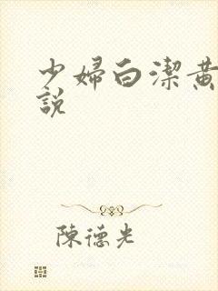 少妇白洁黄色小说