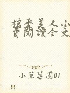 棺香美人小说免费阅读全文