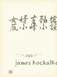 女婿有劲枪枪到底小峰小说