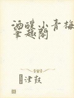 酒酿小青梅po笔趣阁
