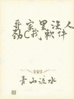 哥家里没人使点劲C我软件