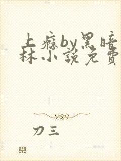 上瘾by黑暗森林小说免费