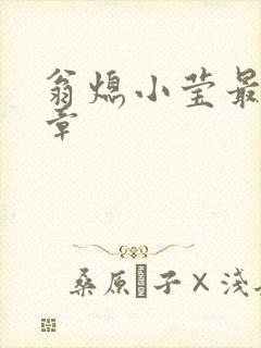 翁熄小莹最新节章