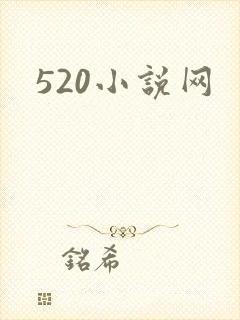 520小说网