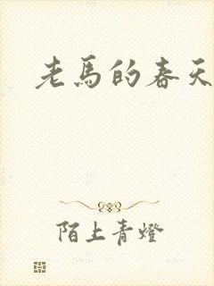 老马的春天敏静