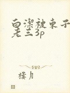 白洁被东子老二老三3p