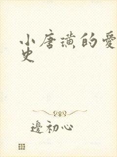 小唐璜的爱情历史