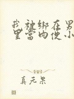 我被绑在男公厕里当肉便小说