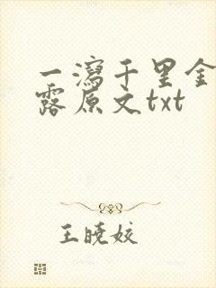 一泻千里金银花露原文txt