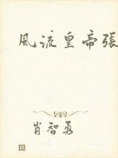 风流皇帝张无忌