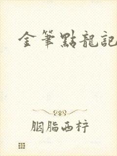 金笔点龙记