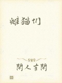 雌猫们