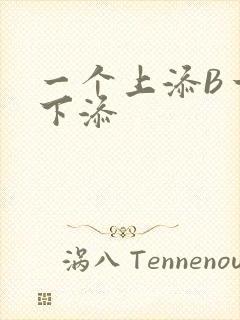 一个上添B一个下添