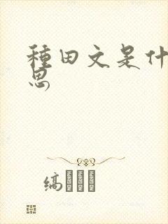 种田文是什么意思