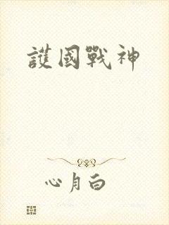 护国战神