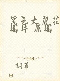 黑色大丽花真实图片 原图