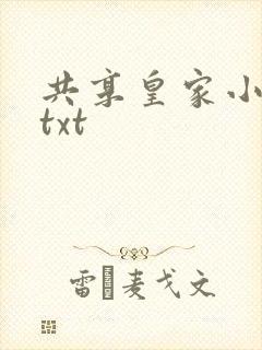 共享皇家小公主txt
