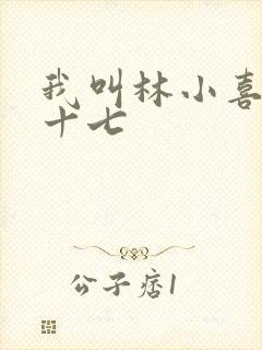 我叫林小喜今年十七